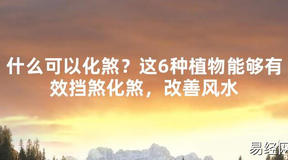 【2024最新风水】什么可以化煞？这6种植物能够有效挡煞化煞，改善风水【好运风水】