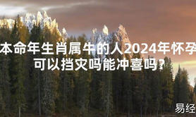 2024最新本命年生肖属牛的人2024年怀孕可以挡灾吗能冲喜吗？【化解太岁】