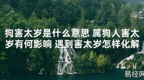 【太岁知识】狗害太岁是什么意思 属狗人害太岁有何影响 遇到害太岁怎样化解,最新太岁