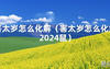 2024最新害太岁怎么化解（害太岁怎么化解2024鼠）【化解太岁】