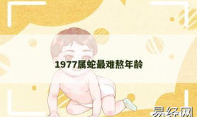 【属龙】1977属蛇最难熬年龄,2024生肖龙