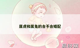 【属兔】属虎和属兔的合不合婚配,2024生肖兔