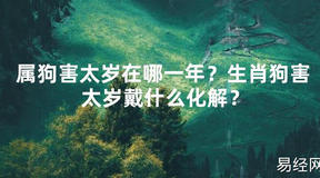 【2024太岁知识】属狗害太岁在哪一年？生肖狗害太岁戴什么化解？,最新太岁