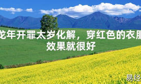 2024最新龙年开罪太岁化解，穿红色的衣服效果就很好【化解太岁】