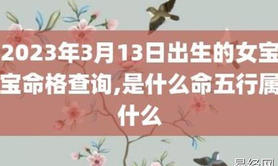 【最新易经网八字】2024年农历正月二十一出生的宝宝五行属什么，命格如何,八字入门推荐