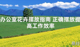 [最新风水]办公室花卉摆放指南 正确摆放提高工作效率【易经网推荐】