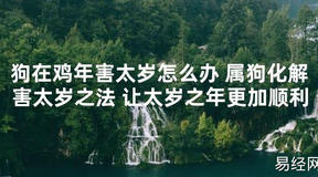 【太岁知识】狗在鸡年害太岁怎么办 属狗化解害太岁之法 让太岁之年更加顺利,最新太岁