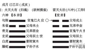 【六爻占卜】六爻，高速提升篇，第⑧讲判断爻有没有用 3,最新六爻