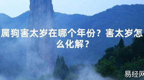 【2024太岁知识】属狗害太岁在哪个年份？害太岁怎么化解？,最新太岁