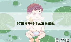 【属牛】97生肖牛和什么生肖最配,2024生肖牛