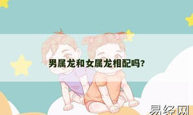 【属龙】男属龙和女属龙相配吗?,2024生肖龙