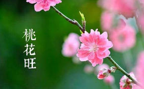 八字命理,什么八字越老越有桃花？【婚姻运势】,最新八字