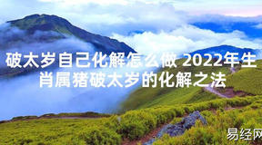 【太岁知识】破太岁自己化解怎么做 2024年生肖属猪破太岁的化解之法,最新太岁