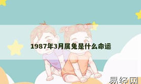 【属兔】1987年3月属兔是什么命运,2024生肖兔