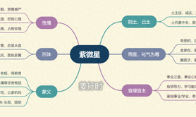 易经网推荐紫微斗数的星曜要义、喜忌、落入十二宫及四化,紫微斗数