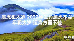 【太岁知识】属虎犯太岁 2024年生肖属虎本命年犯太岁 运势方面不佳,最新太岁