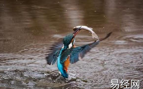 【2024八字预测】丙午日生于巳时，丙午日巳时生命运好吗,最新八字