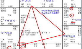 易经网推荐紫薇命宫太阳太阴未宫十年大运田宅宫 天纪05案例图片和笔记文字版,紫微斗数