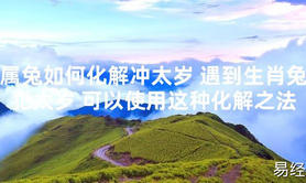 【太岁知识】属兔如何化解冲太岁 遇到生肖兔犯太岁 可以使用这种化解之法,最新太岁