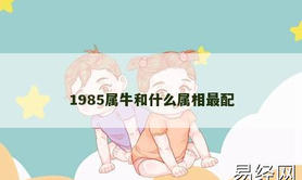 【属牛】1985属牛和什么属相最配,2024生肖牛