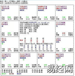 易经网推荐（李向东）紫微命盘解析格,紫微斗数