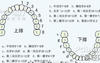 最新梦见换牙是什么意思？周公解梦大全查询免费,易经网推荐解梦