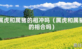 2024最新属虎和属猪的相冲吗（属虎和属猪的相合吗）【化解太岁】