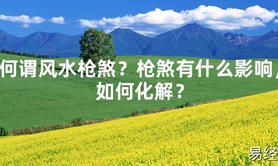 【2024最新风水】何谓风水枪煞？枪煞有什么影响，如何化解？【好运风水】