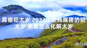 【太岁知识】属猪犯太岁 2024年生肖属猪的犯太岁 来看怎么化解太岁,最新太岁