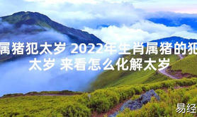 【太岁知识】属猪犯太岁 2024年生肖属猪的犯太岁 来看怎么化解太岁,最新太岁