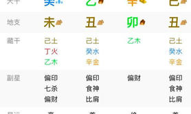 八字命理,命理学――偏印旺的女命（八字案例）,最新八字