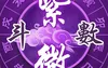 【最新紫微斗数】【杀破狼格-破军】果断勇敢具开创性,2024紫微斗数