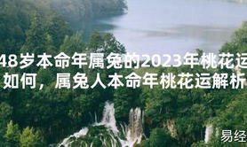 【太岁】48岁本命年属兔的2024年桃花运如何，属兔人本命年桃花运解析最新