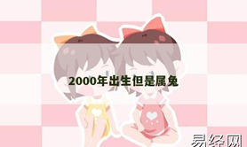 【属兔】2000年出生但是属兔,2024生肖兔