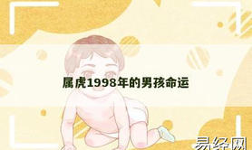 【属虎】属虎1998年的男孩命运,2024生肖虎