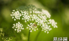 2024年一眼就吸引人的网名女生，有内涵好听的网名推荐【最新姓名】