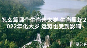 【太岁知识】怎么算哪个生肖害太岁 生肖属蛇2024年化太岁 运势也受到影响,最新太岁