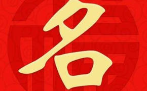 宝宝起名,2021年牛年生肖姓卢男孩吉利名字大全,易经网推荐