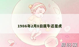 【属牛】1986年2月8日属牛还是虎,2024生肖牛