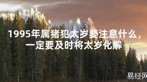 【太岁】1995年属猪犯太岁要注意什么，一定要及时将太岁化解最新