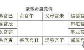 易经网推荐紫色微斗数是怎么看的斗数在线排盘什么是紫微斗数命盘,紫微斗数