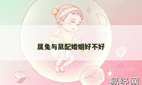 【属兔】属兔与鼠配婚姻好不好,2024生肖兔