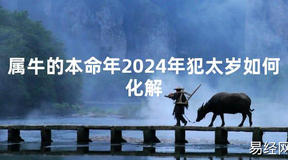 2024最新属牛的本命年2024年犯太岁如何化解【化解太岁】