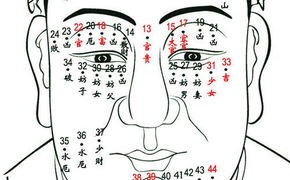 面相推荐,麻衣神相痣图解面相痣看吉凶,2024面相