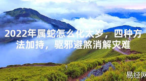 【太岁知识】2024年属蛇怎么化太岁，四种方法加持，驱邪避煞消解灾难,最新太岁