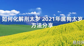 【太岁知识】如何化解刑太岁 2021年属狗太岁方法分享,最新太岁