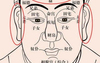 面相推荐,女人的面相看性格，看什么样的面相不好相处？,2024面相