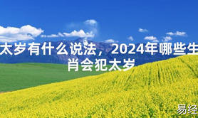 【化解太岁】太岁有什么说法，2024年哪些生肖会犯太岁，最新