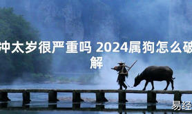 【化解太岁】冲太岁很严重吗 2024属狗怎么破解，最新