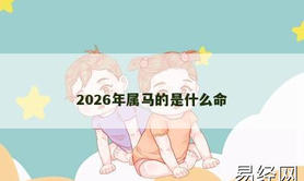 【属龙】2026年属马的是什么命,2024生肖龙